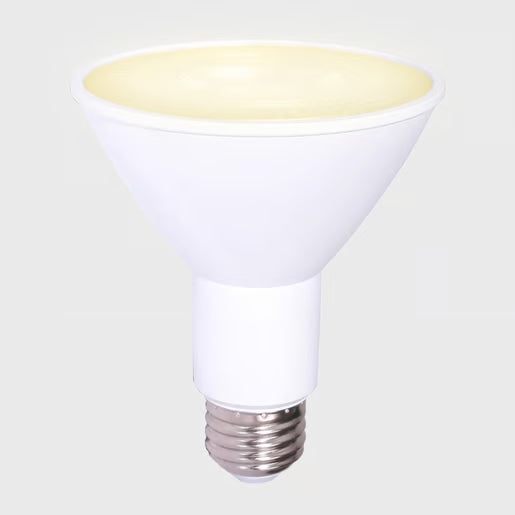 TECNOLITE PAR 30 LED
