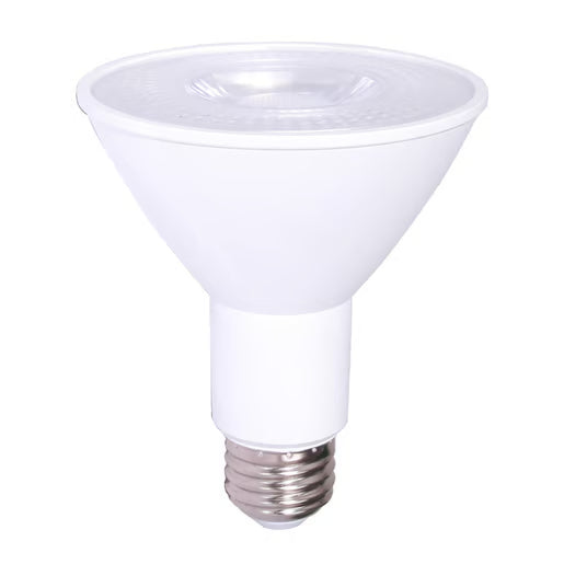 TECNOLITE PAR 30 LED