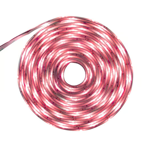 TECNOLITE MANGUERA INCANDESCENTE ROJO 1640W 127V