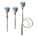 SIEMENS POINTEK CLS300 RF INT DE NIVEL CAPACITIVO VARILLA 350mm