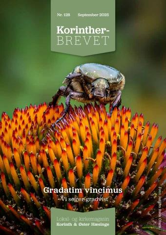 ARGOS PLAFON CIRCULAR LISO LED 15 W 127 V 60 Hz 6 400 K 1 200 lm