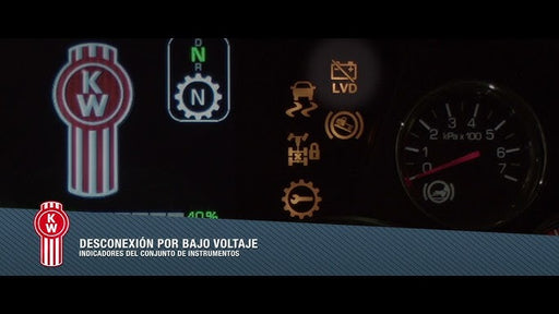 RTM BOTONERA P/GRUA 2 PASOS C/PARO DE EMERGERNCIA