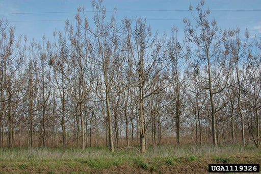 OLFLEX CONTROL 26X16AWG CLASSIC 110 26G1.5 OCO26X16