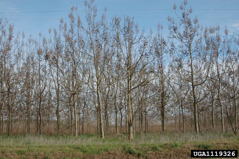 OLFLEX CONTROL 26X16AWG CLASSIC 110 26G1.5 OCO26X16