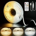 TECNOLITE TIRA LED CCT 5 METROS CON CONTROL