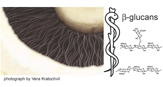 MAGG CL SQ 400 100-240V 30K AT CH