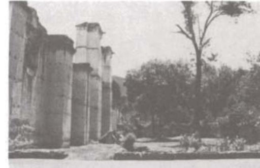 TW MOLDE CABLE 1/0 A #4 DE PASO EN "T" REQ 45 DE CARGA