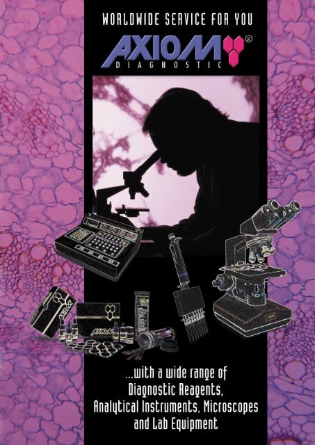 MAGG CL 400 100-305V AFP 60K GR