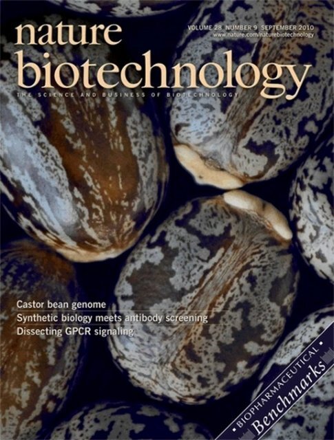 MAGG LUNA 23 SS 105-140V AFP 40K BC