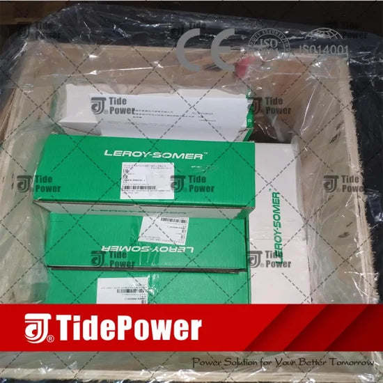 GENERAC REGULADOR AVR R220 AEM110RE041