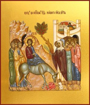 CABLE BLINDADO VFD 2XSLCYK-J  0.6/1KV  DE 4G4MM 4X12  PVC COLOR N