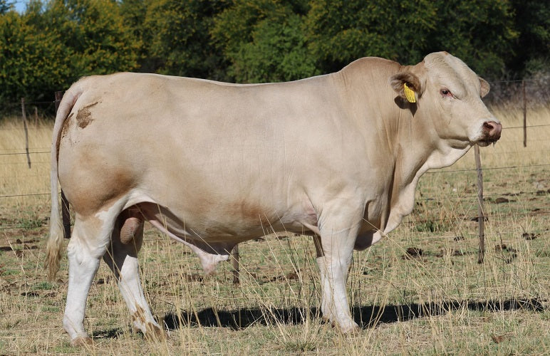 PMD2406PM VENTILADOR DE 60X60X38 EN 24V CD