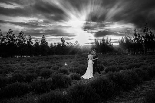 SUPRA LTC-M2-L02-750MV-DDCO-SM-SA-PBL 5000K