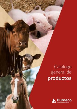 RTM PINZA PARA TIERRA FISICA C/CABLE DE 5MTS