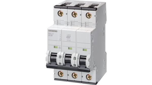 SIEMENS INT TERMOMAG P/RIEL 1P 25A D 10kA 230/400V