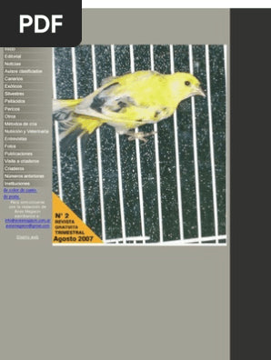 duplicado : ofrecer 6269-2887-BOX