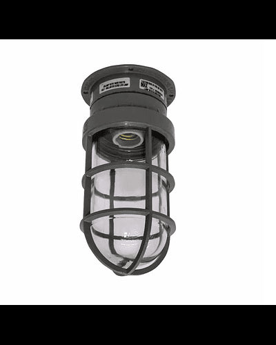 RAWELT CONDULET GUA AREAS PELIGROSAS 25mm (1)