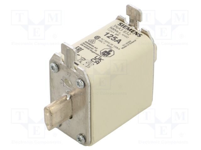 SIEMENS FUSIBLE NH00 125A gG 500VAC 250VDC