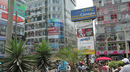 LIVING NOW FALSO POLO MEDIO MODULO