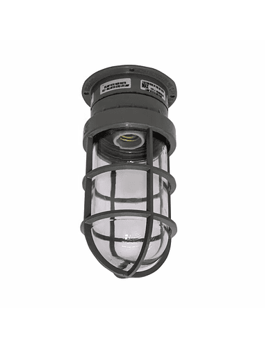 RAWELT LUMINARIO LED PRUEBA DE INTEMP LED P/TECHO