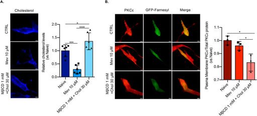 ADS PAD 3" TUBO PAD ROJO 6.1 MTS