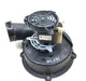 COMEPI MICRO DE SEGURIDAD C/RESET RECTO SBM5K9900X1