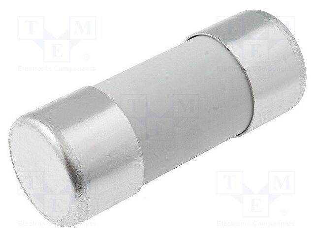 BUSS FUSIBLE CILINDRICO 22X58mm 125 AMPS C22G125