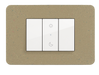 QUINZIÑO GO PLACA DE RESINA COLOR MARFIL 3 MOD. (INCLUYE CHASIS)