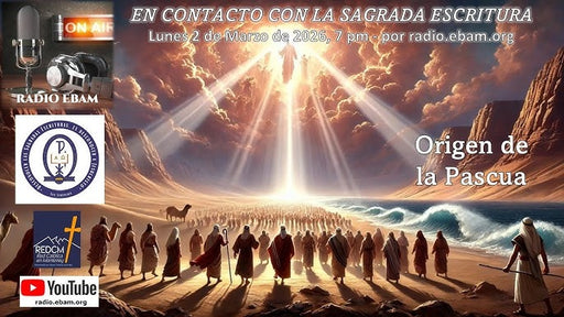 ORIGEN CONTACTO 2P T