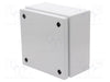 RITTAL GABINETE 1502000
