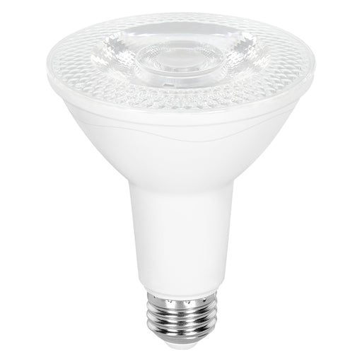 TECNOLITE PAR 30 LED