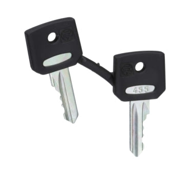 TELEMEC JUEGO DE 2 LLAVES 455