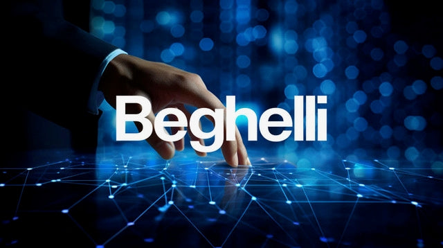 BEGHELLI GUARDA PARA CASTEX 300 (40W/80W) S/RECUBRIMIENTO