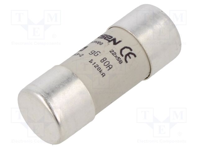 MERSEN FUSIBLE CILINDRICO GG 690V 80ARAPIDA 22X58