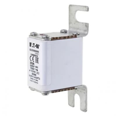BUSS FUSIBLE SEMICONDUCTOR 315A 690V 170M2619