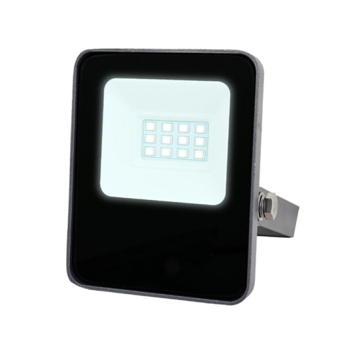 TECNOLITE REFLECTOR LED 10W 6500K