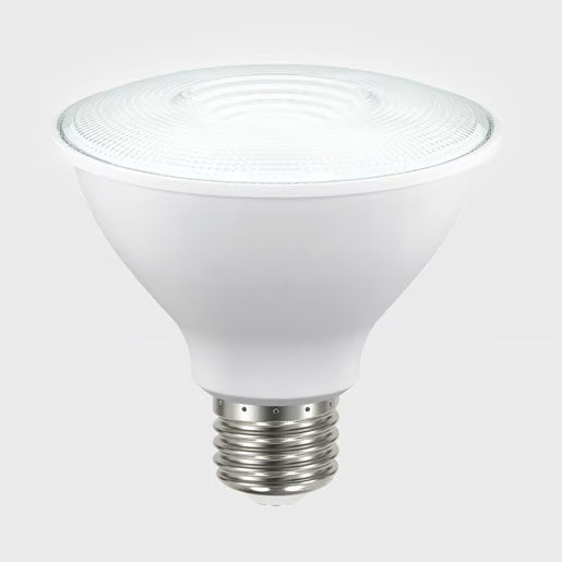 TECNOLITE PAR30 8W 240V 6500K LED E27
