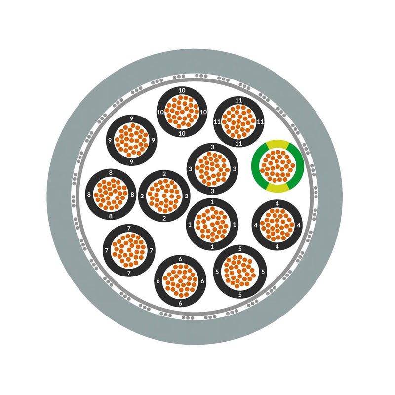 ÖLFLEX CHAIN 809 CY 12G1