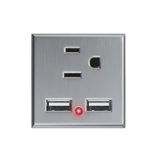 LUCEK PREM CONTACTO Y 2 USB PLATEADO (REQ 2 PBL120)
