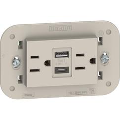 LIVING NOW TOMA CORRIENTE DUPLEX 2P+T CON 2 USB A+C COLOR ARENA 3