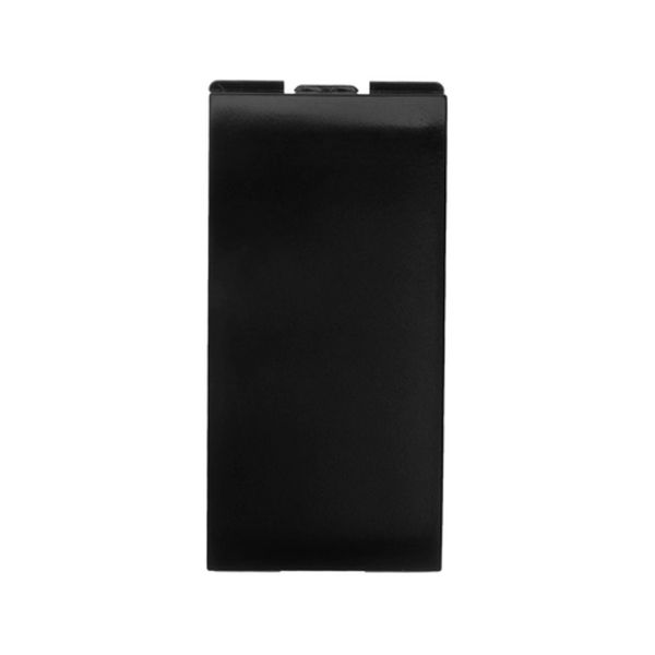 ORIGEN TAPON CIEGO NEGRO