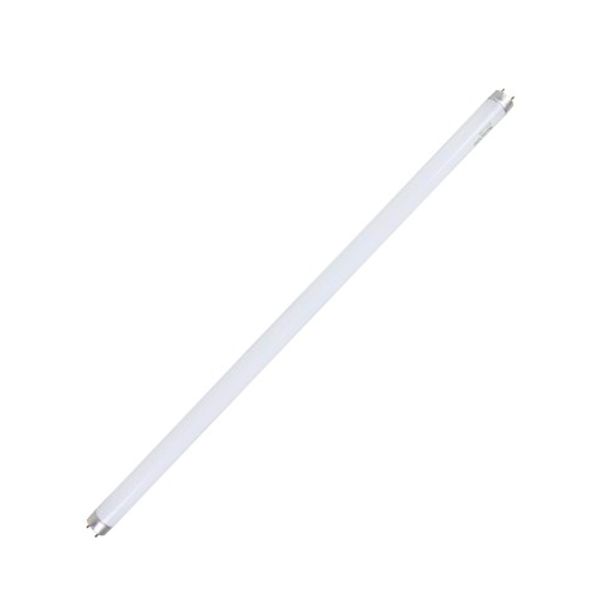 TUBO FLUORECENTE T8 15W 6500K