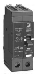 SQUARE D INT TERMOMAG NF 480VAC 2P 100A 18KA 480VAC