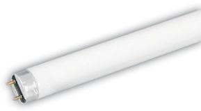 TUBO FLUORECENTE T8 15W 6500K