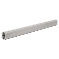 RITTAL SUPPORT SECTION SYSTEM60 CLOSED 1000 MM